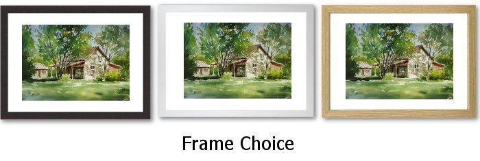 Frame Choice