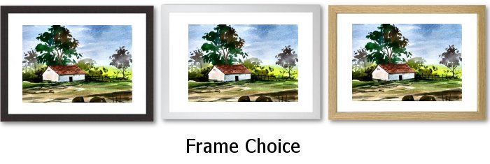 Frame Choice