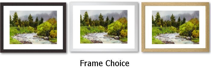 Frame Choice