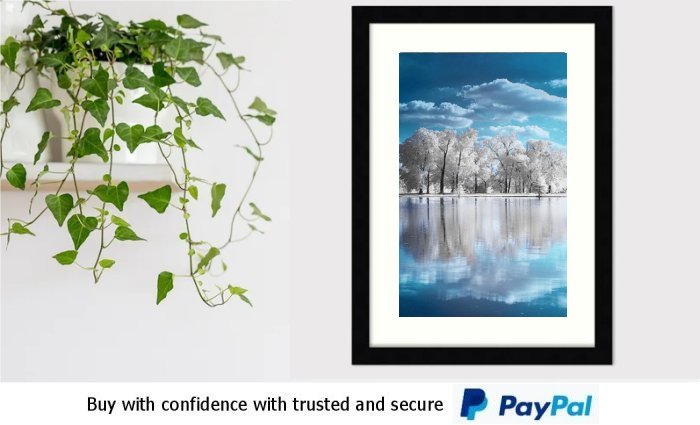 Winter Art Framed Print