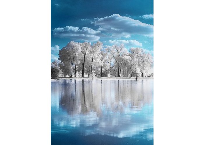 Winter Art Framed Print
