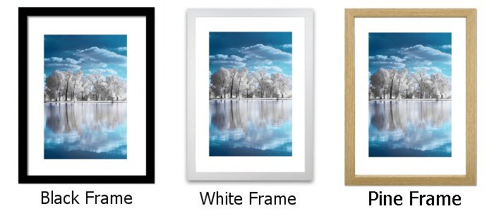 Frame Choice