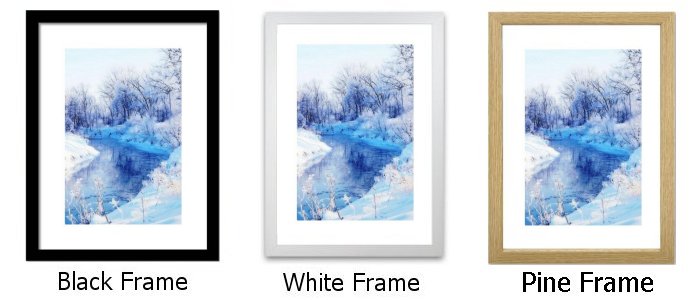 Frame Choice