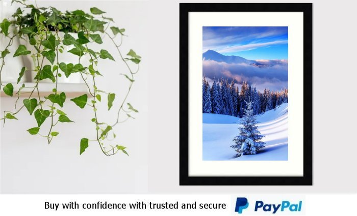 Winter Art Framed Print