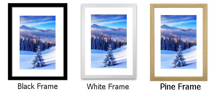Frame Choice