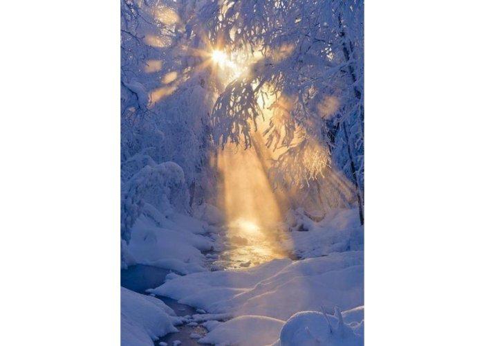 Winter Art Framed Print