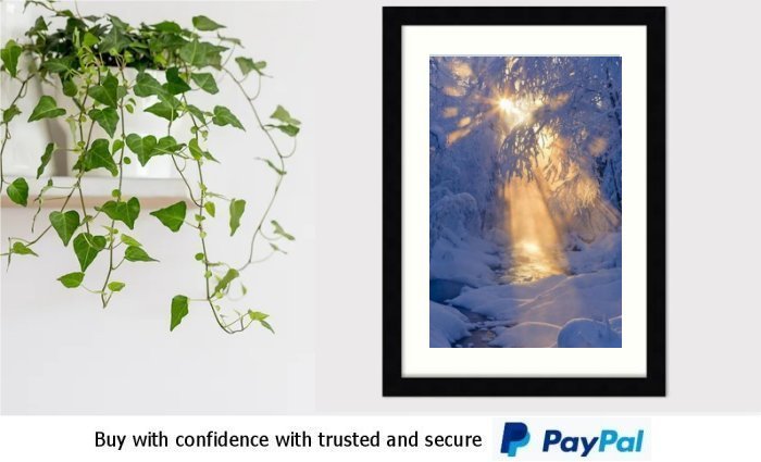 Winter Art Framed Print