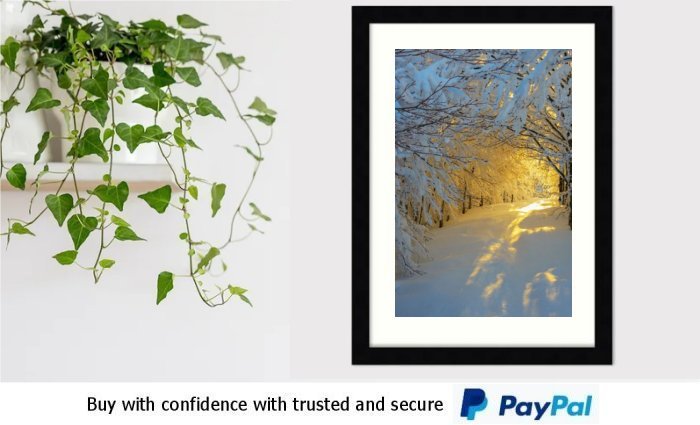 Winter Art Framed Print