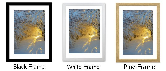 Frame Choice